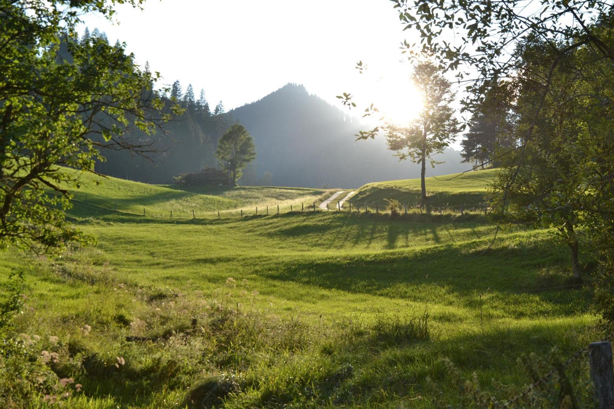 Ferienstadl - Hammerau Ґестлінґ-ан-дер-Іббс Екстер'єр фото